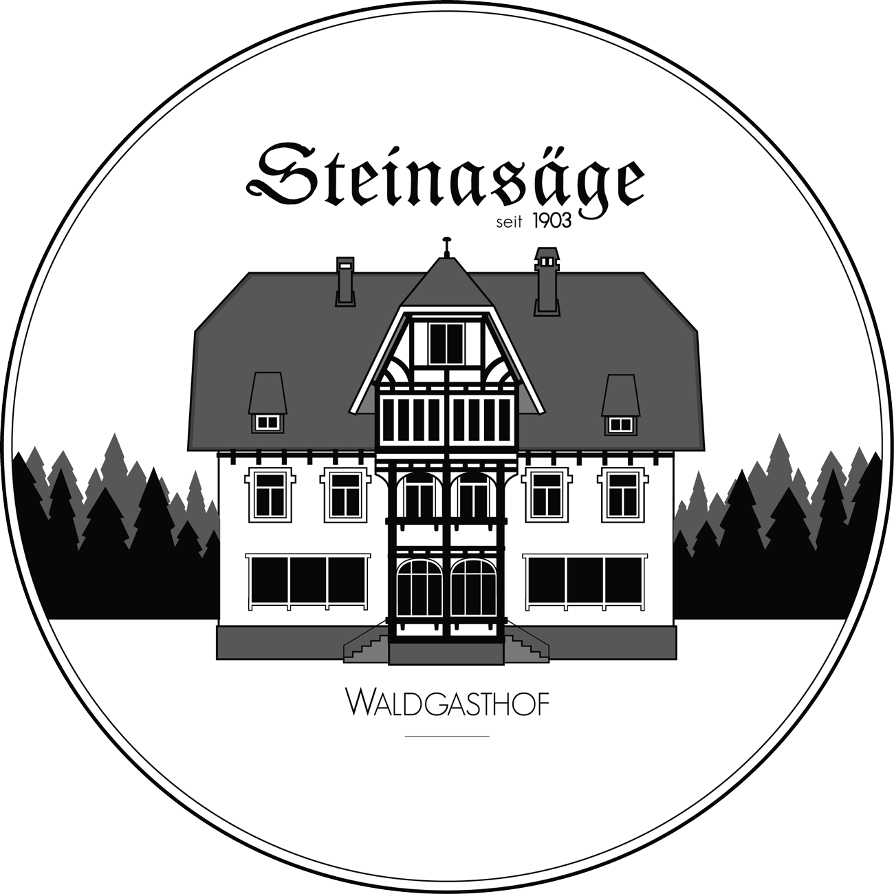 Logo Steinasaege